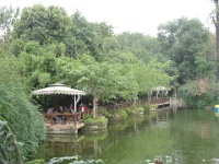 2009 China 1566